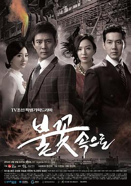 合肥seo在线优化